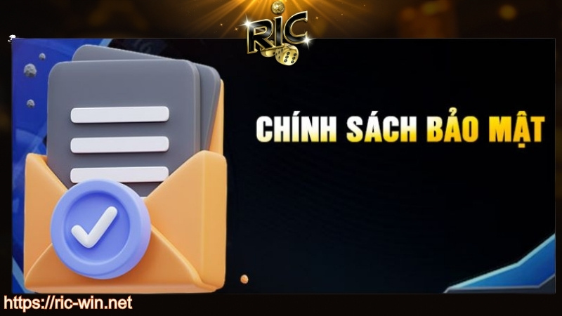 Tầm quan trọng của chính sách bảo mật RICWIN