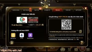 Tận hưởng đa dạng cổng nạp tiền RICWIN